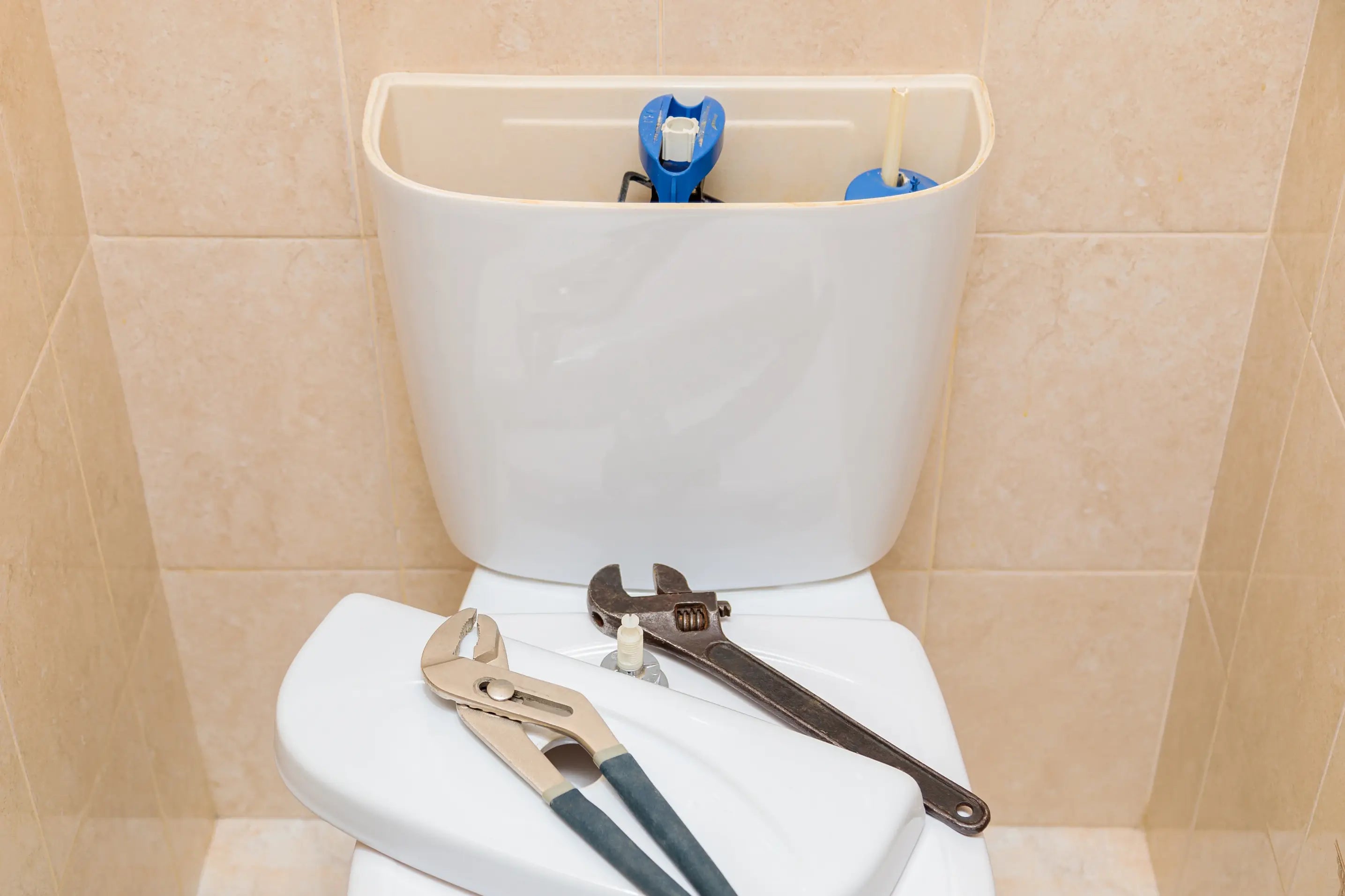 Spülkasten reinigen